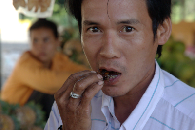 Ein Khmer isst ein Insekt
